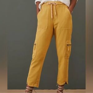 Anthropologie Pilcro Cottage Utility Pants